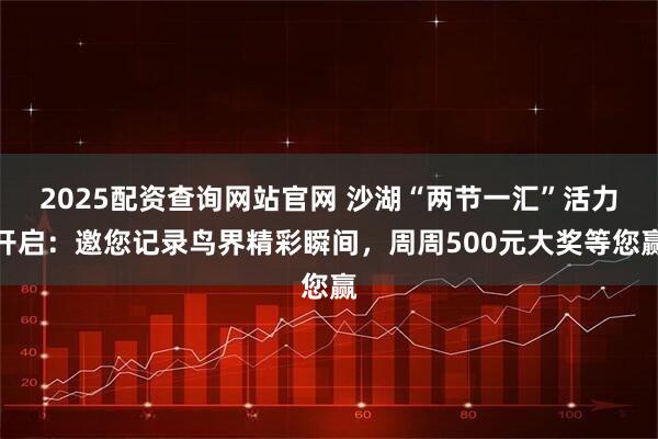 2025配资查询网站官网 沙湖“两节一汇”活力开启：邀您记录鸟界精彩瞬间，周周500元大奖等您赢