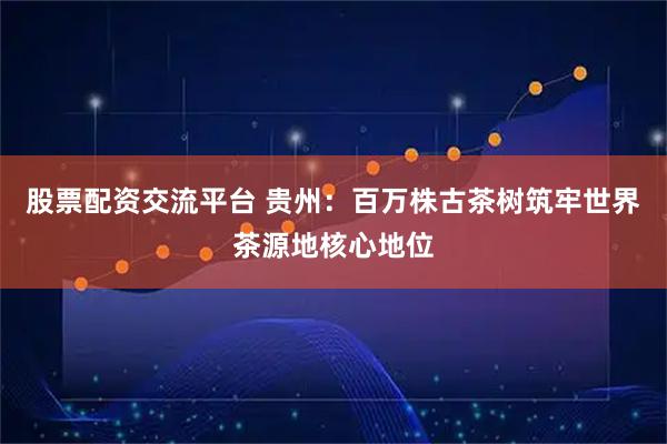 股票配资交流平台 贵州：百万株古茶树筑牢世界茶源地核心地位