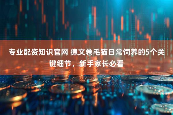 专业配资知识官网 德文卷毛猫日常饲养的5个关键细节，新手家长必看