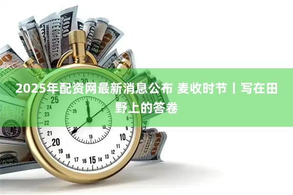 2025年配资网最新消息公布 麦收时节丨写在田野上的答卷